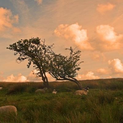 博鱼综合体育官网登录